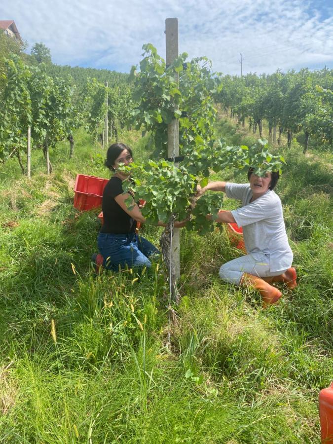Trautenburg Stub'N Leutschach Zewnętrze zdjęcie