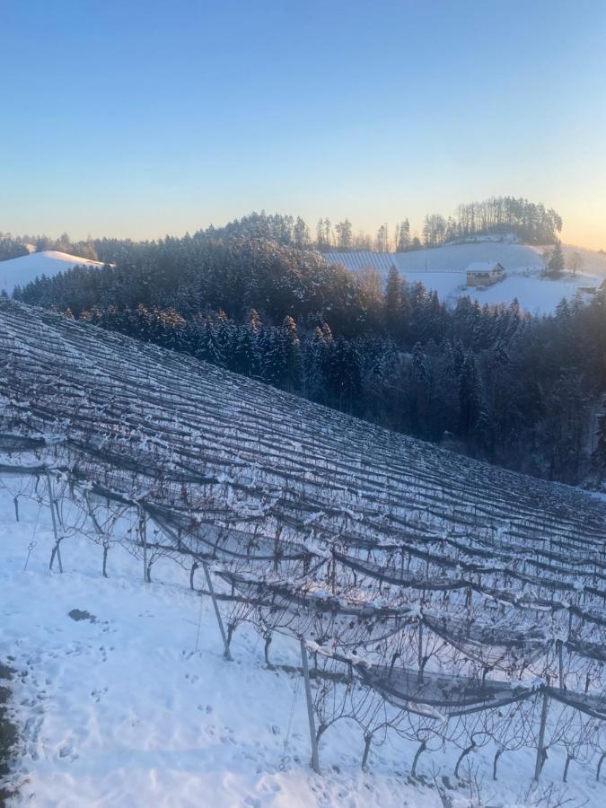 Trautenburg Stub'N Leutschach Zewnętrze zdjęcie