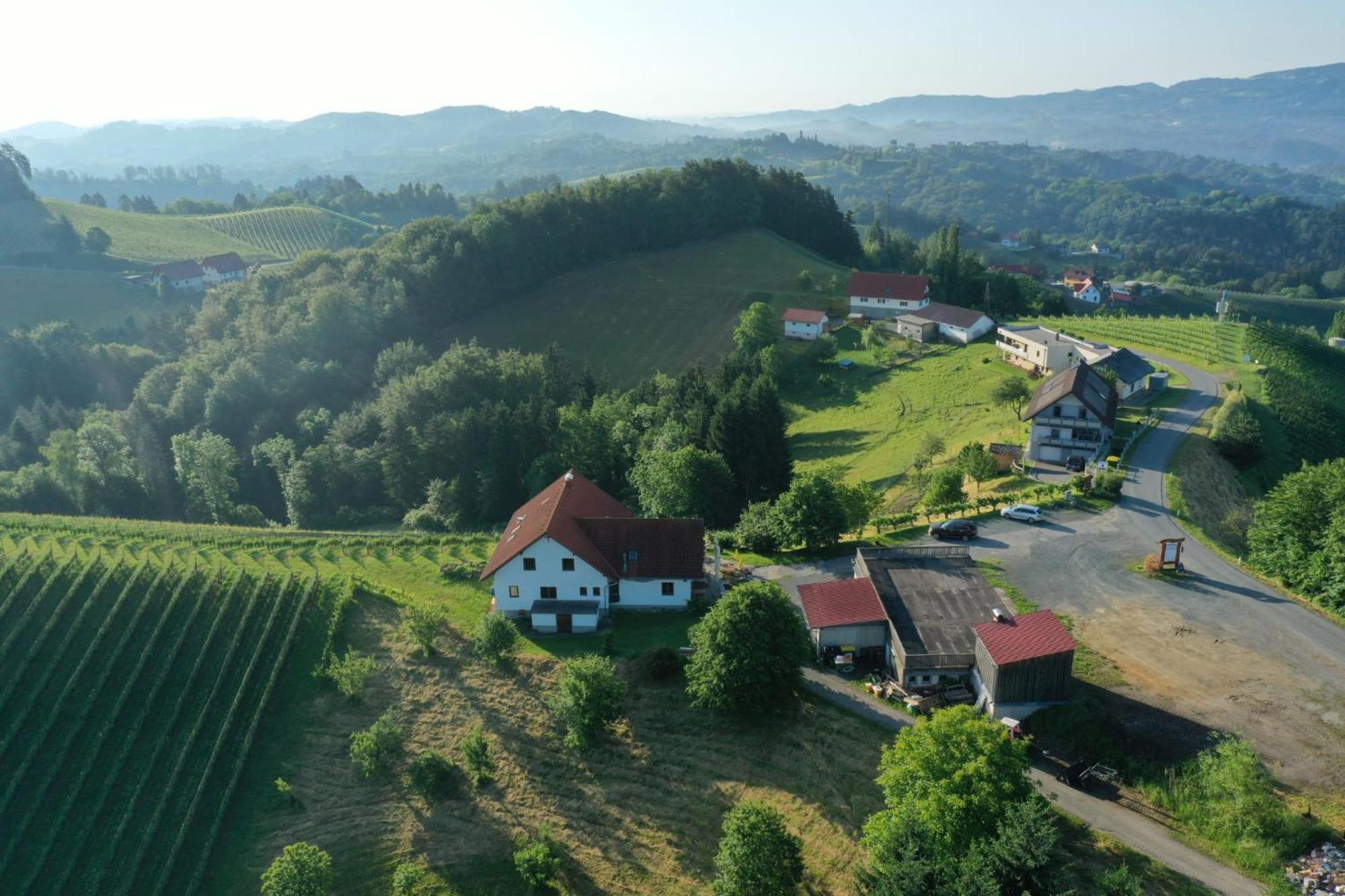 Trautenburg Stub'N Leutschach Zewnętrze zdjęcie